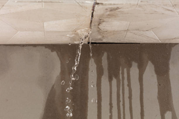 Professional Burst Pipe Cleanup technician working in Erlanger, KY